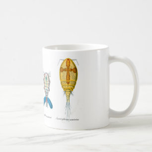 Caneca De Café Copepods