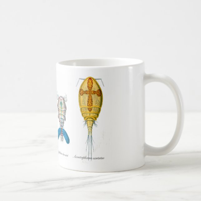 Caneca De Café Copepods (Direita)