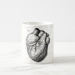 Caneca De Café Corações cardíacos retros da anatomia do coraç