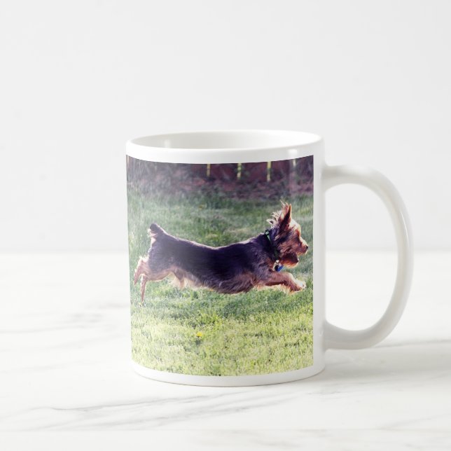 Caneca De Café Corredor do yorkshire terrier (Direita)