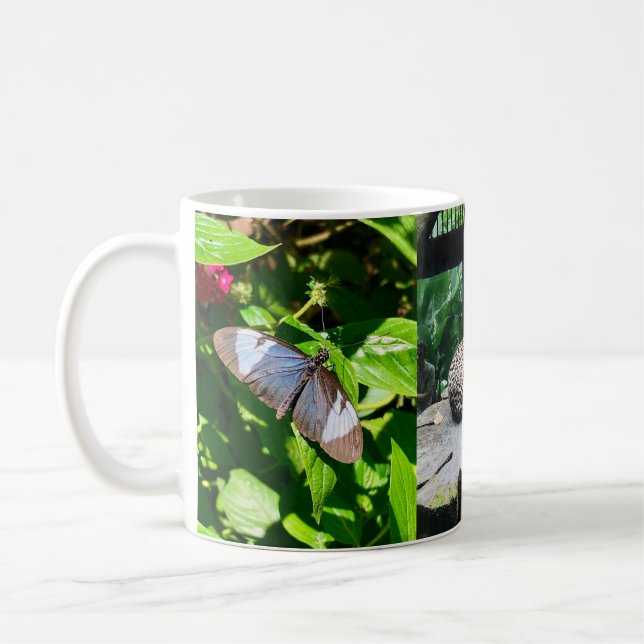 Caneca De Café Costa Rica Willife Waterfall Mug (Esquerda)