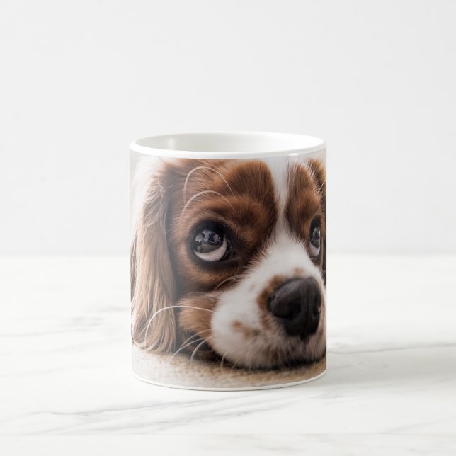 Caneca De Café Crie a sua própria caneta fotográfica Pet (Centro)
