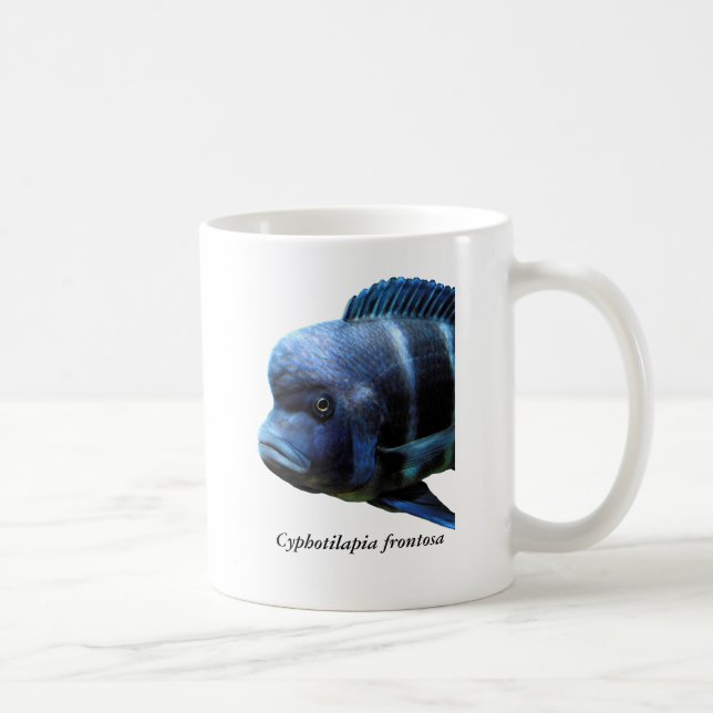 Caneca De Café Cyphotilapia frontosa (Direita)