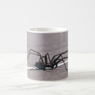 Caneca de café da aranha