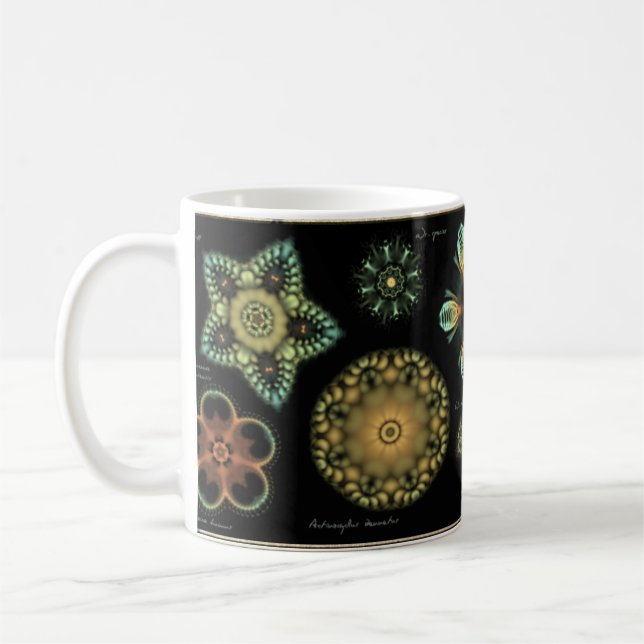 Caneca de café da diatomácea da "antiguidade" (Esquerda)