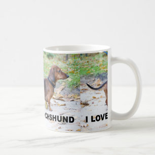 Caneca De Café dachshund wilboar cheio love w pic