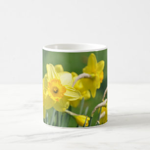 Caneca De Café Daffodils