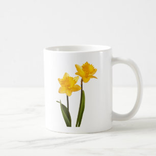 Caneca De Café Daffodils amarelos do primavera no branco