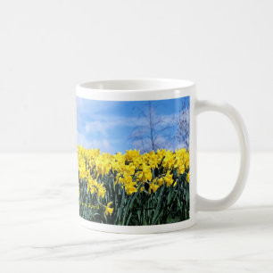 Caneca De Café Daffodils do primavera, Shrewsbury, Shropshire,