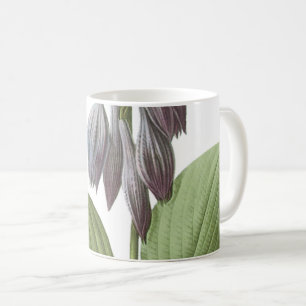 Caneca De Café daylily (Hemerocallis caerulea) por Redouté