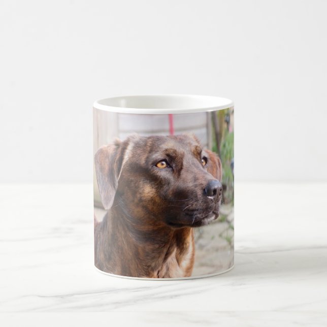 Caneca de café de Brin do cão de Nowzad Rscue (Centro)