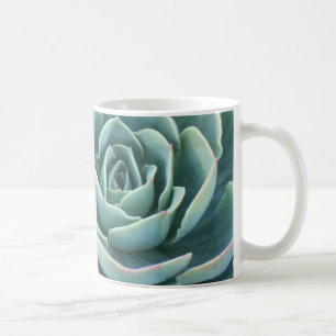 Caneca de café de Echeveria