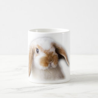 Caneca de café de Holland Lop