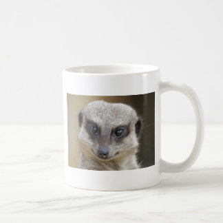 Caneca De Café De Meerkat fim acima