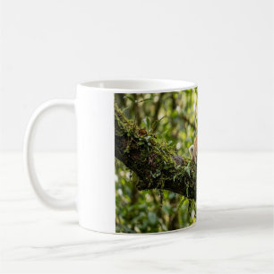 Caneca de Café de Panda Vermelho Bebê Descansando 