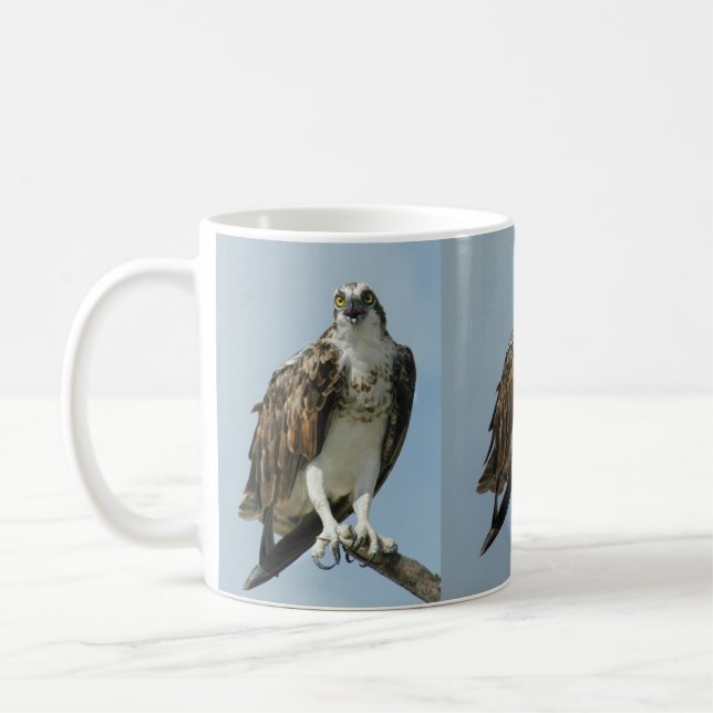 Caneca de café de três imagens do falcão do Osprey (Esquerda)