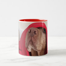 Caneca de café de Vizsla