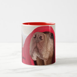 Caneca de café de Vizsla