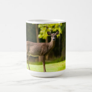 Caneca De Café Deer on Golf Course