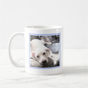 Caneca De Café Dia de os pais Melhor Pai Foto De Cachorro De Cãoz