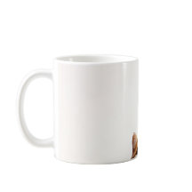 Dia Simples de Gato dos Namorados