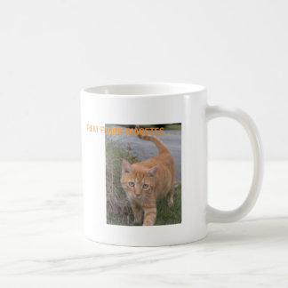CANECA DE CAFÉ DIABETES FELINO DO DELEITE