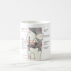 Caneca De Café Diagrama anatômico de uma articulação do joelho