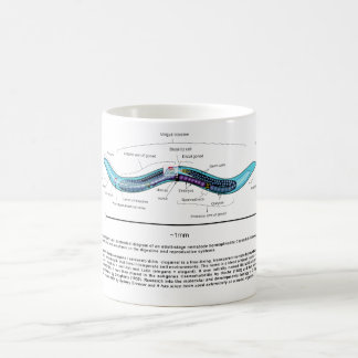 Caneca De Café Diagrama de Caenorhabditis Elegans da lombriga do