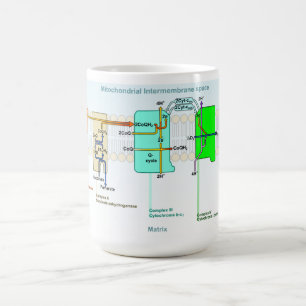 Caneca De Café Diagrama de espaço de Mitonchondrial Intermembran