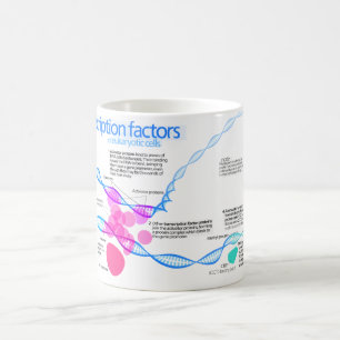 Caneca De Café Diagrama de fatores da transcrição do gene