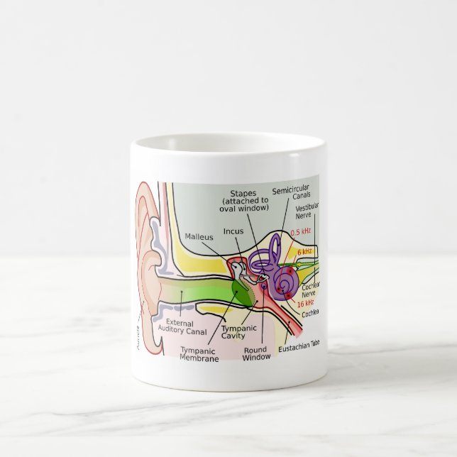 Caneca De Café Diagrama de Mapeamento da Frequência do Ouvido Hum (Centro)