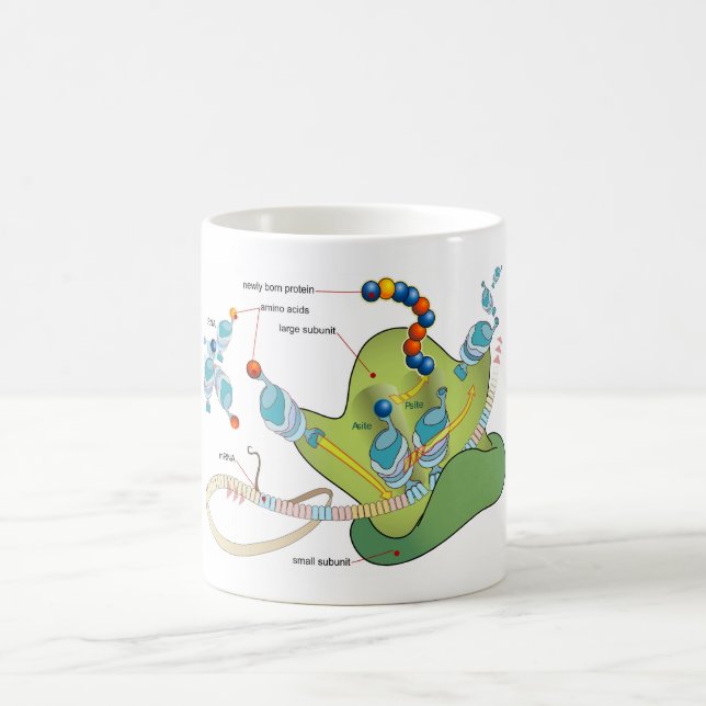 Caneca De Café Diagrama de moléculas de tRNA mRNA ribossomo prote (Centro)