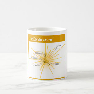 Caneca De Café Diagrama de um centrossome