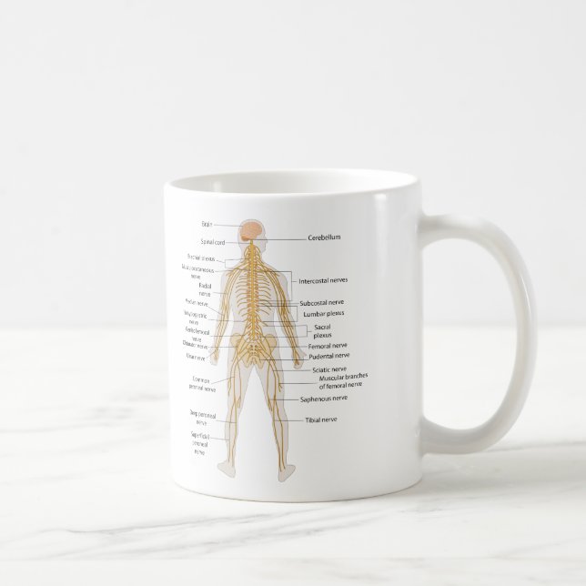 Caneca De Café Diagrama do sistema nervoso de corpo humano (Direita)