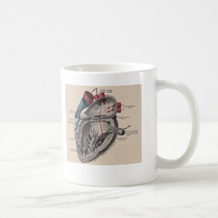 Caneca De Café Diagrama humano antigo da anatomia do coração