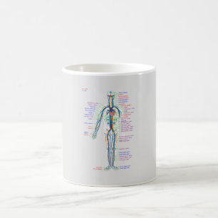Caneca De Café Diagrama MUG Artérias do Sistema Circulatório Hu
