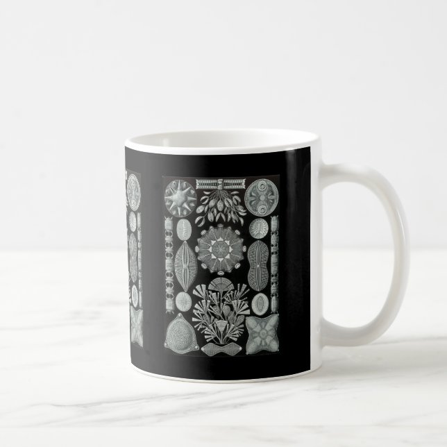 Caneca De Café Diatomáceas (Direita)