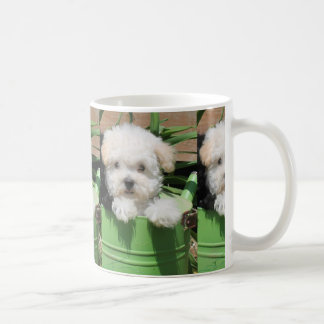 Caneca de café do filhote de cachorro de Maltipoo
