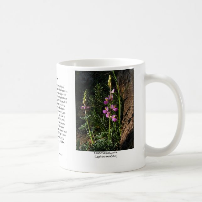 Caneca de café do Lupine da soda da uva (Direita)