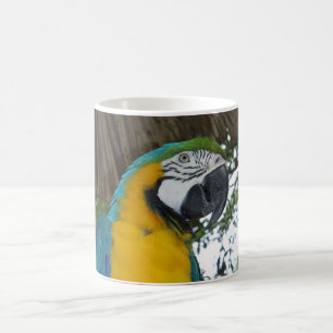 caneca de café do papagaio do macaw do azul e do
