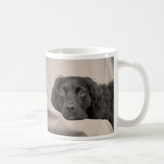 Caneca de café do Spaniel de Boykin
