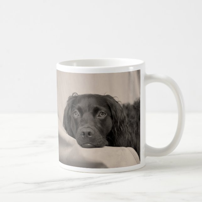 Caneca de café do Spaniel de Boykin (Direita)