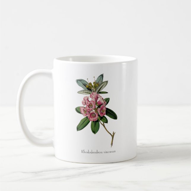 Caneca De Café Doces Cores do Verão: Rhododendron viscosum Mug (Esquerda)