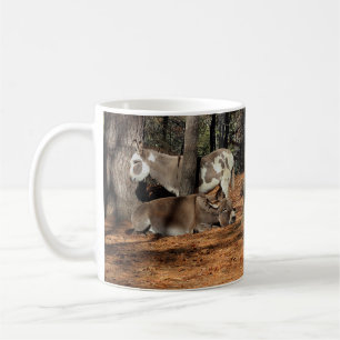 Caneca De Café Dois asnos