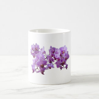 Caneca De Café domestica do orchidea