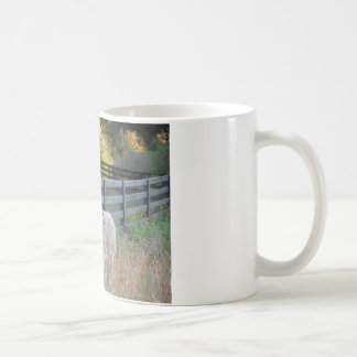 Caneca De Café Donkey em um Campo de outono
