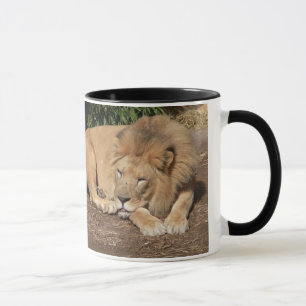 Caneca de café dos gatos