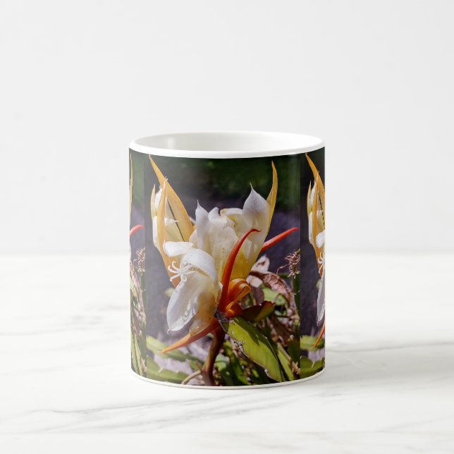 CANECA DE CAFÉ DRAGÃO POLINÉSIO CACTO FLOR NOTURNA (Centro)