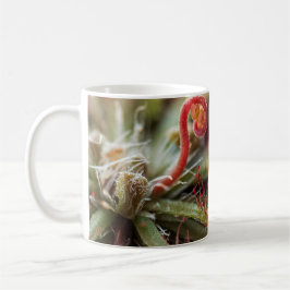 Caneca De Café Drosera Capillaris