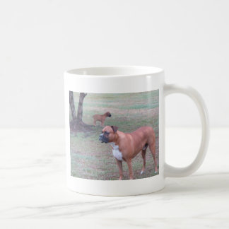 CANECA DE CAFÉ DSC02049